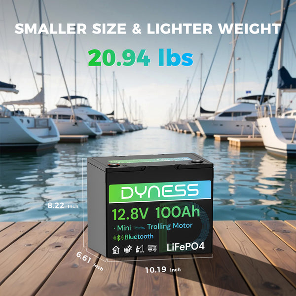 Dyness 12V 100Ah Group 24 Bluetooth-Enabled LiFePO4 Deep Cycle Battery