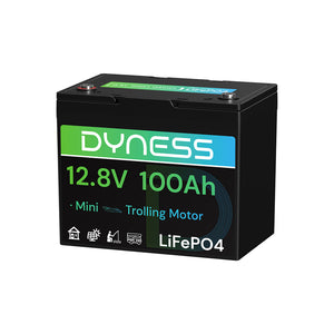 Dynesspower 12V 100Ah Group 24 LiFePO4 Lithium Deep Cycle Battery