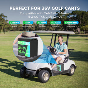 Dynesspower 36V 55Ah Smart Deep Cycle Lithium Battery