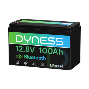 Dynesspower  12V 100Ah Lithium Battery with Bluetooth