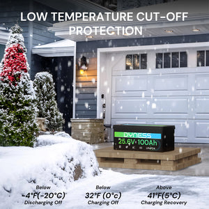 Dynesspower 24V 100Ah LiFePO4 Battery