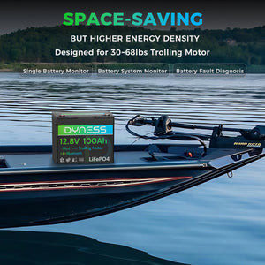 Dynesspower 12V 100Ah Group 24 Bluetooth-Enabled LiFePO4 Deep Cycle Battery