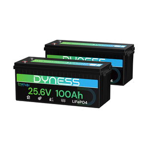 Dynesspower 24V 100Ah LiFePO4 Battery with Bluetooth