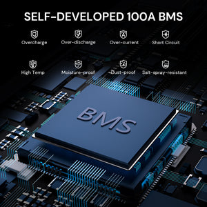 Dynesspower 24V 100Ah LiFePO4 Battery