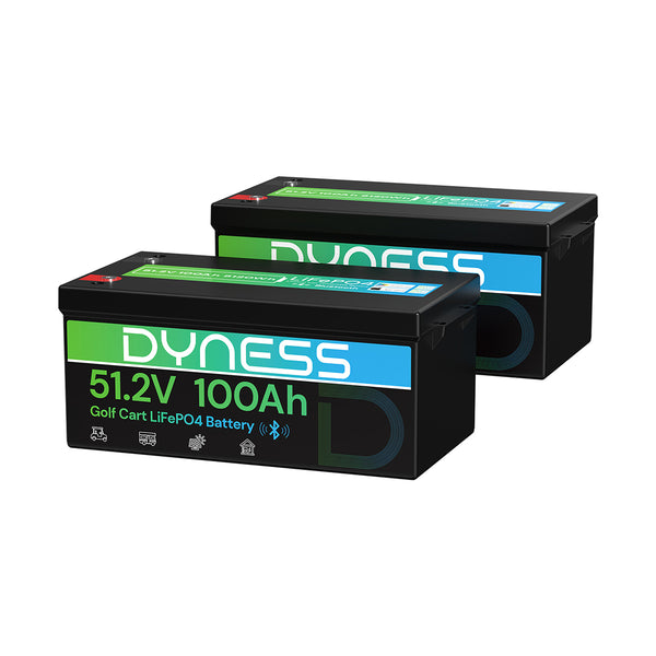 Dyness 48V 100Ah Lithium-Ion Golf Cart Battery – Equipped with 200A BMS & Real-Time Monitoring