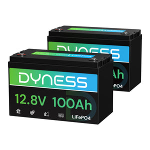 Dynesspower AR1.2 12V 100Ah LiFePO4 Battery