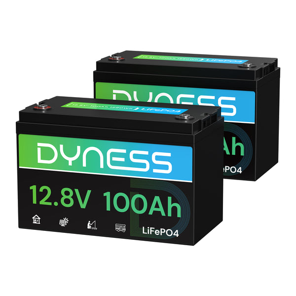 Dyness AR1.2 12V 100Ah LiFePO4 Battery