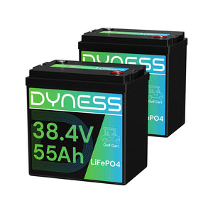 Dynesspower 36V 55Ah Smart Deep Cycle Lithium Battery