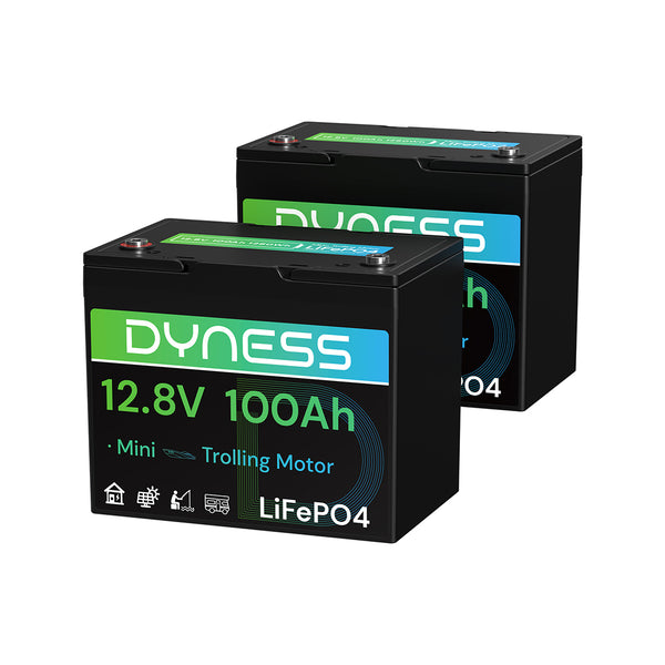 Dyness 12V 100Ah Group 24 LiFePO4 Lithium Deep Cycle Battery