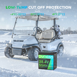 Dynesspower 36V 55Ah Smart Deep Cycle Lithium Battery