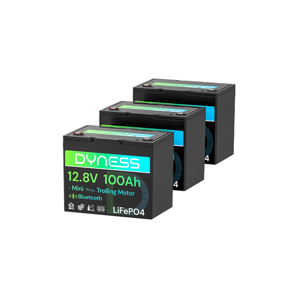 Dyness 12V 100Ah Group 24 Bluetooth-Enabled LiFePO4 Deep Cycle Battery