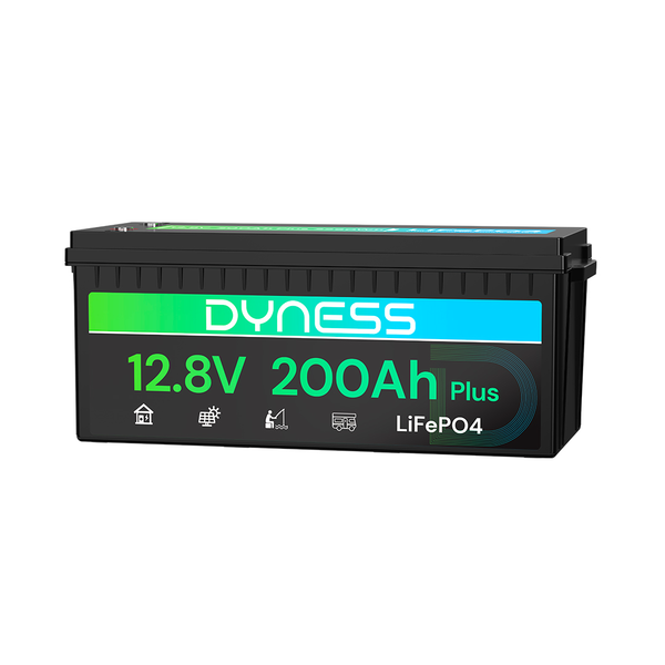 Dyness 12V 200Ah LiFePO4 Battery