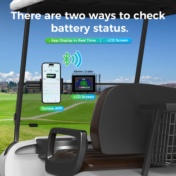 Dyness 48V 100Ah Lithium-Ion Golf Cart Battery – Equipped with 200A BMS & Real-Time Monitoring