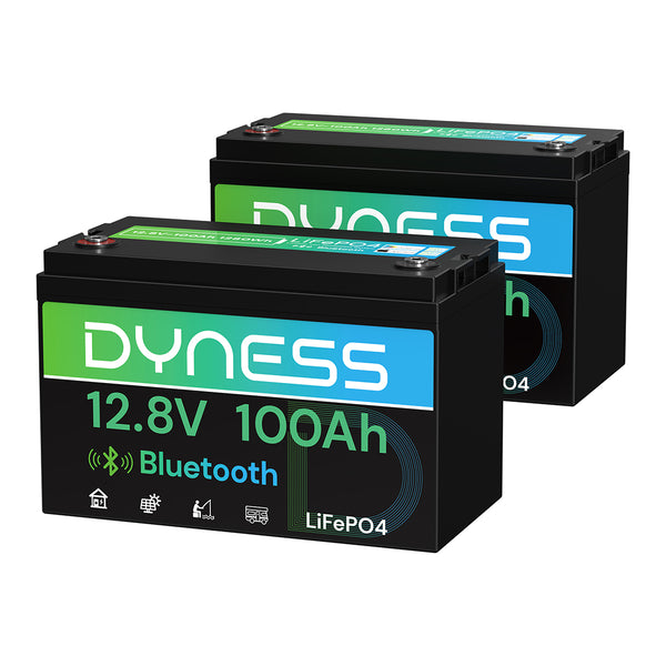 Dyness 12V 100Ah Lithium Battery with Bluetooth