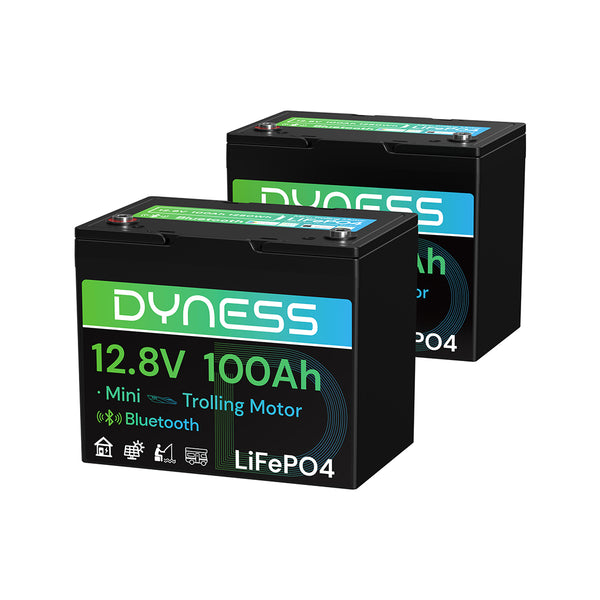 Dyness 12V 100Ah Group 24 Bluetooth-Enabled LiFePO4 Deep Cycle Battery