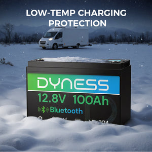 Dynesspower  12V 100Ah Lithium Battery with Bluetooth