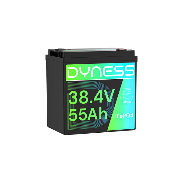 Dyness 36V 55Ah Smart Deep Cycle Lithium Battery