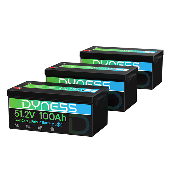 Dyness 48V 100Ah Lithium-Ion Golf Cart Battery – Equipped with 200A BMS & Real-Time Monitoring