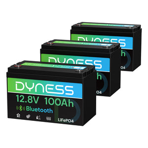 Dynesspower  12V 100Ah Lithium Battery with Bluetooth