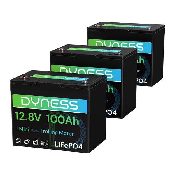 Dyness 12V 100Ah Group 24 LiFePO4 Lithium Deep Cycle Battery