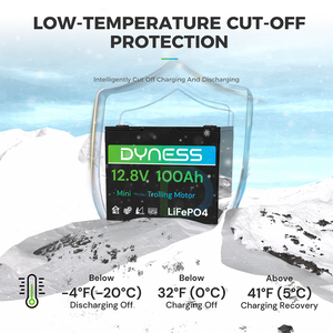 Dynesspower 12V 100Ah Group 24 LiFePO4 Lithium Deep Cycle Battery