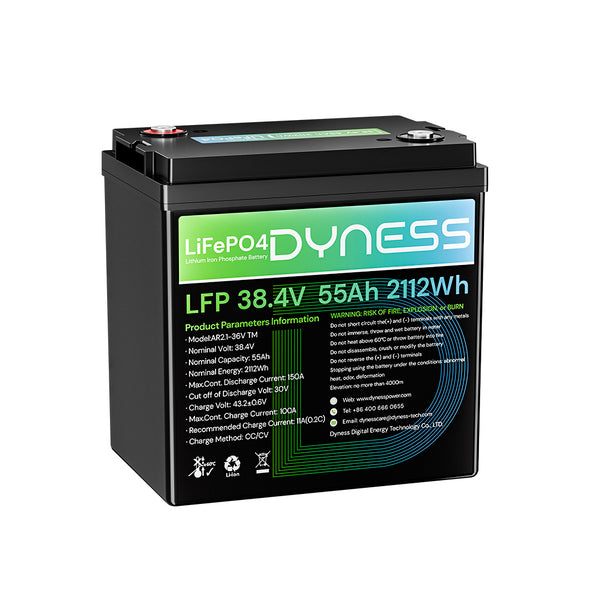 Dyness 36V 55Ah Marine Trolling Motor Lithium Battery