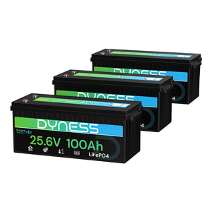 Dynesspower 24V 100Ah LiFePO4 Battery with Bluetooth