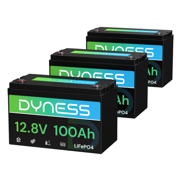 Dyness AR1.2 12V 100Ah LiFePO4 Battery