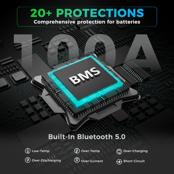 Dyness 12V 100Ah Group 24 Bluetooth-Enabled LiFePO4 Deep Cycle Battery