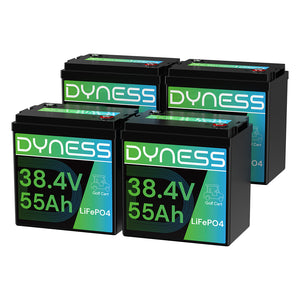 Dynesspower 36V 55Ah Smart Deep Cycle Lithium Battery