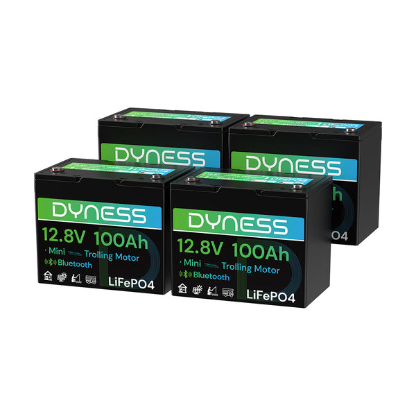 Dyness 12V 100Ah Group 24 Bluetooth-Enabled LiFePO4 Deep Cycle Battery