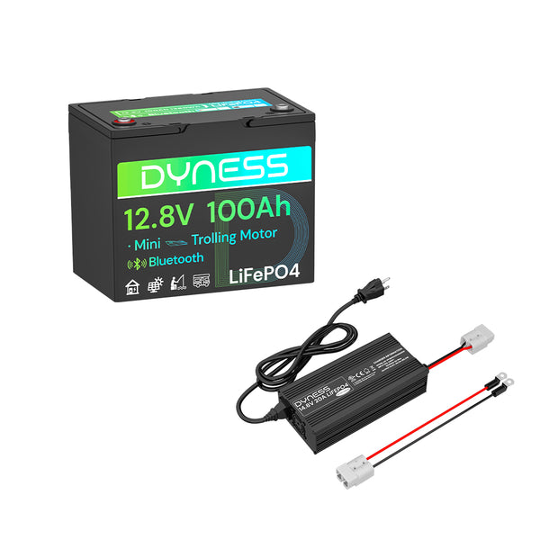 Dyness 12V 100Ah Group 24 Bluetooth-Enabled LiFePO4 Deep Cycle Battery