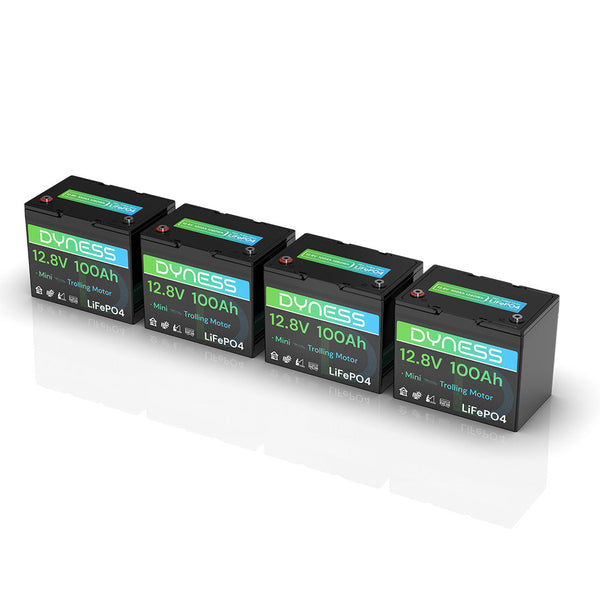 Dyness 12V 100Ah LiFePO4 Battery