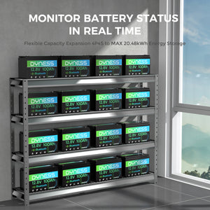 Dynesspower  12V 100Ah Lithium Battery with Bluetooth