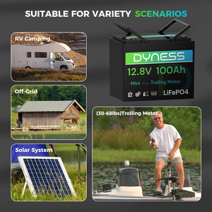 Dynesspower 12V 100Ah Group 24 LiFePO4 Lithium Deep Cycle Battery