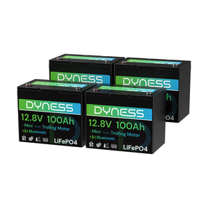 Dynesspower 12V 100Ah Group 24 LiFePO4 Lithium Deep Cycle Battery