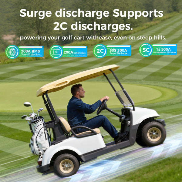 Dyness 48V 100Ah Lithium-Ion Golf Cart Battery – Equipped with 200A BMS & Real-Time Monitoring
