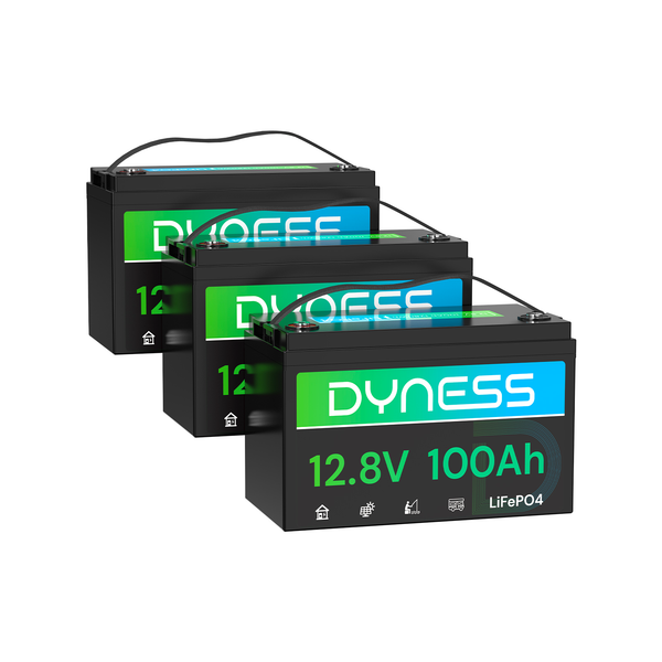 Dyness AR1.2 12V 100Ah LiFePO4 Battery