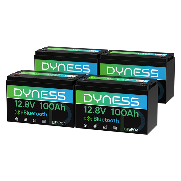 Dyness 12V 100Ah Lithium Battery with Bluetooth