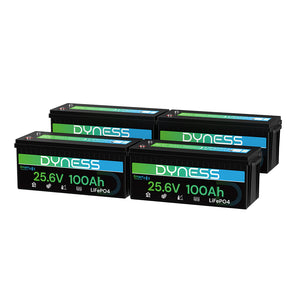 Dynesspower 24V 100Ah LiFePO4 Battery with Bluetooth