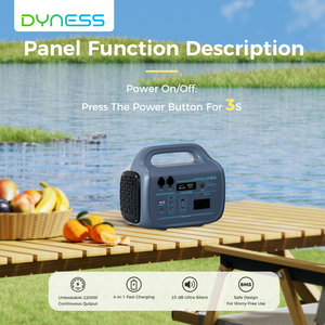 Dynesspower Portable Power Station E-Pearl 1000W