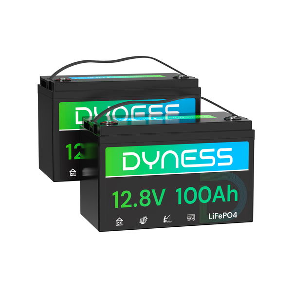 Dyness AR1.2 12V 100Ah LiFePO4 Battery