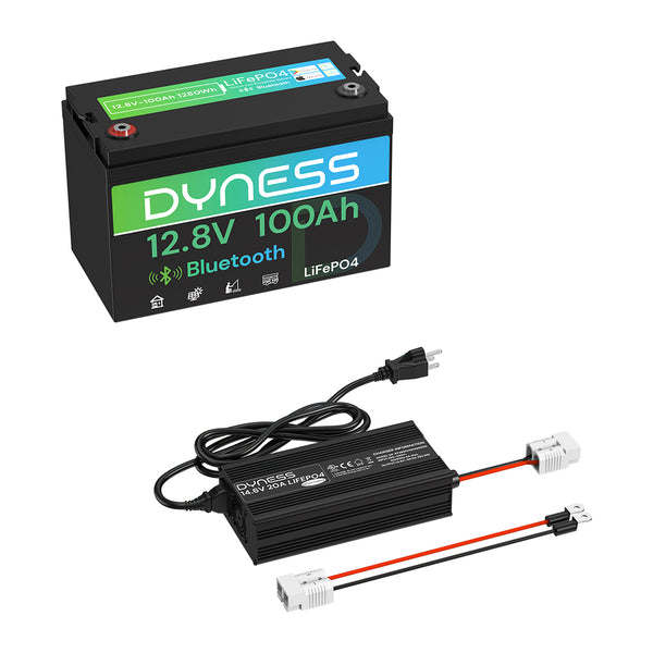 Dyness 12V 100Ah Lithium Battery with Bluetooth