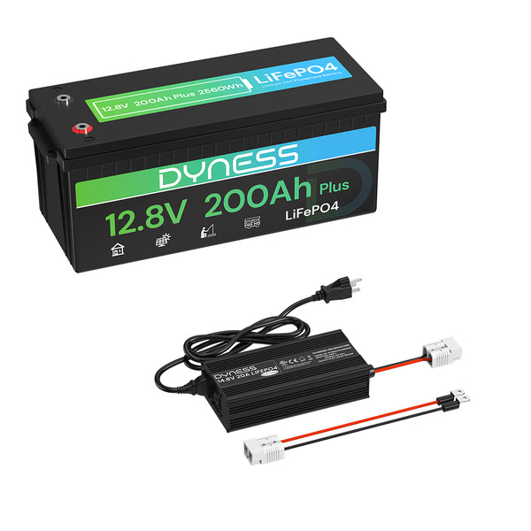 Dyness 12V 200Ah LiFePO4 Battery