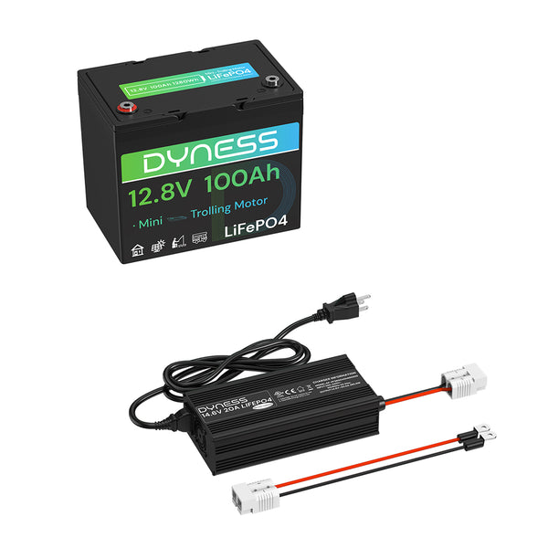 Dyness 12V 100Ah Group 24 LiFePO4 Lithium Deep Cycle Battery