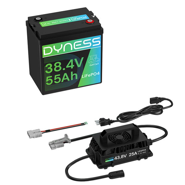 Dyness 36V 55Ah Smart Deep Cycle Lithium Battery