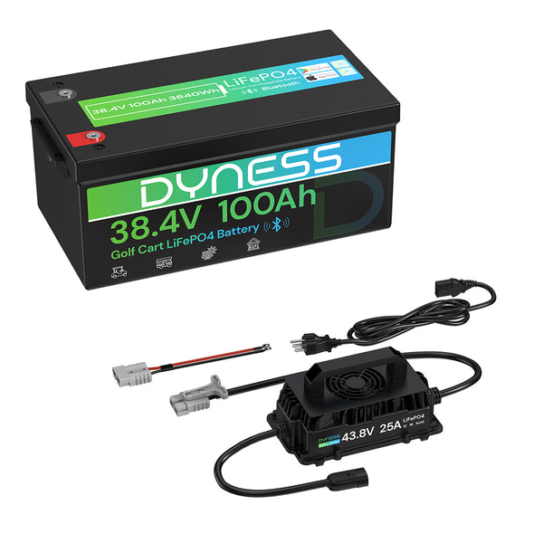 Dyness 36V 100Ah Lithium Golf Cart Battery – Featuring 200A BMS & Real-Time Monitoring