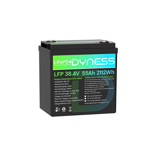 Dyness 36V 55Ah Smart Deep Cycle Lithium Battery
