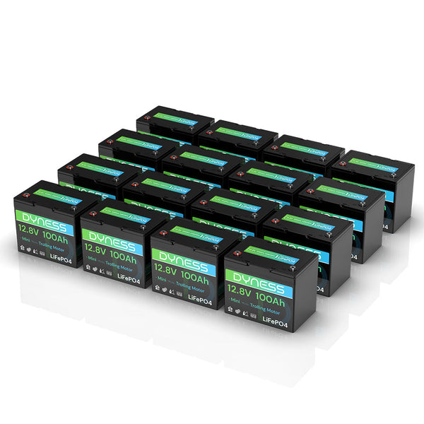 Dyness 12V 100Ah LiFePO4 Battery