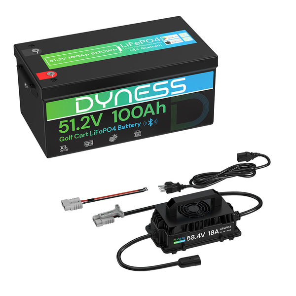 Dyness 48V 100Ah Lithium-Ion Golf Cart Battery – Equipped with 200A BMS & Real-Time Monitoring